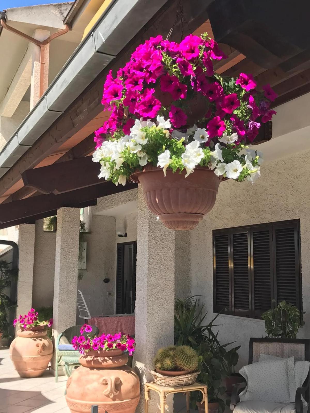 Hotel B&B Rispescia Grosseto Zewnętrze zdjęcie