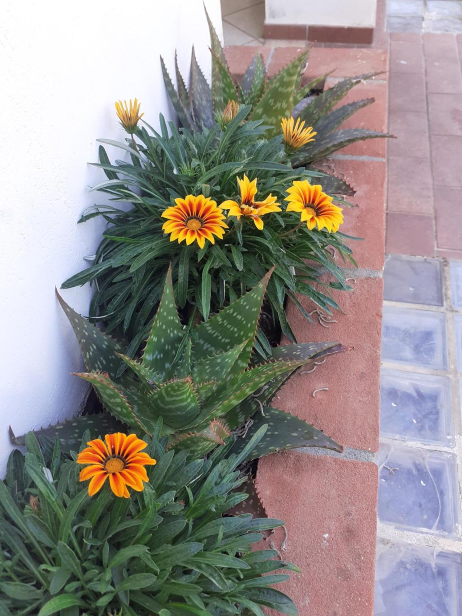Hotel B&B Rispescia Grosseto Zewnętrze zdjęcie