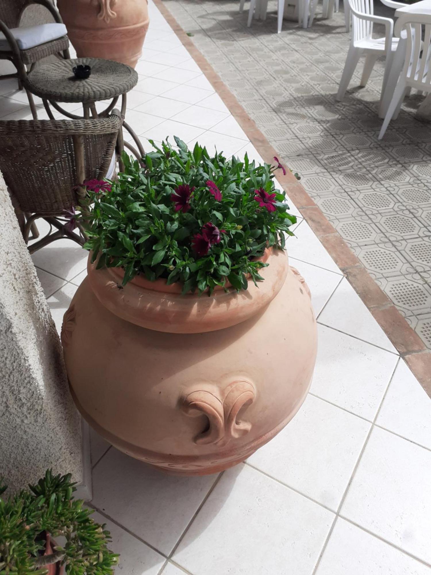 Hotel B&B Rispescia Grosseto Zewnętrze zdjęcie