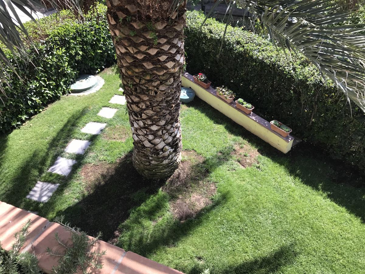 Hotel B&B Rispescia Grosseto Zewnętrze zdjęcie