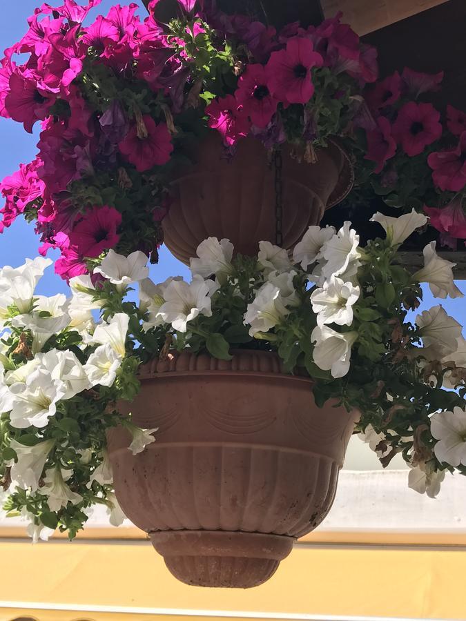 Hotel B&B Rispescia Grosseto Zewnętrze zdjęcie